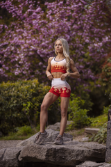 Ablaze Seamless Shorts