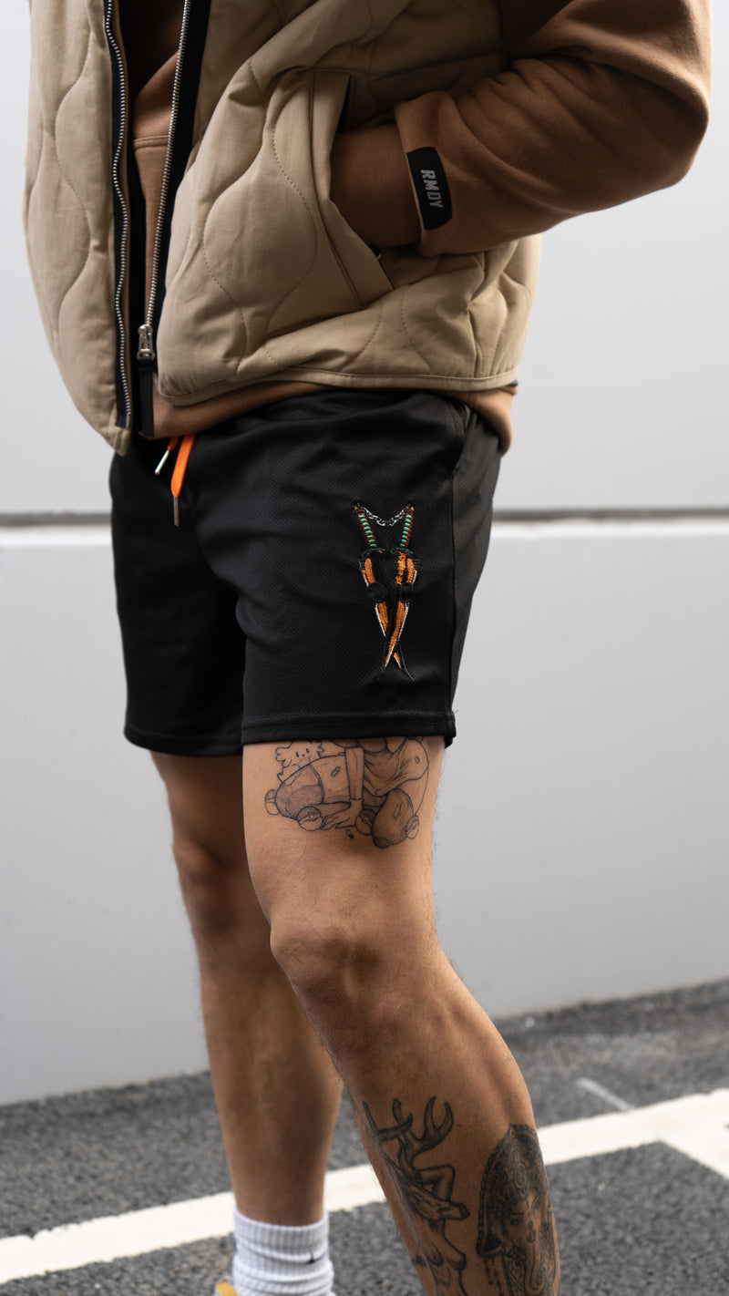 Flashy Swords Embroidered Shorts